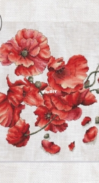 Scarlet Poppies by Eva Stitch & Morra Marran