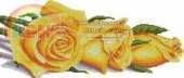 Yellow Roses