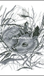 OOE 77602 Bambi XSD