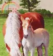 Eder Kits 02-351-Caballo y potrillo