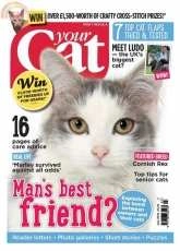 Your Cat-July-2015