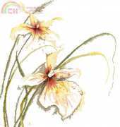Lanarte 34786 - PN-0008014  Orchid pcs