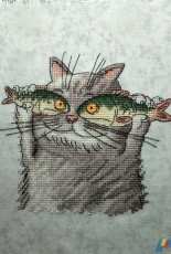 fish & cat