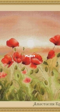 Poppy Field by Anastasia Eremina XSD