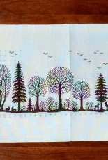 La Foresta di Fanes/Renato Parolin