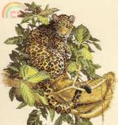 Bucilla 43691 Leopard