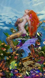 HAED HAEJOEMC 20190844 Mermaid Reef Max Colors by John Enright