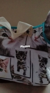 Cat carrier bag