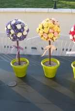 arbres a fleurs