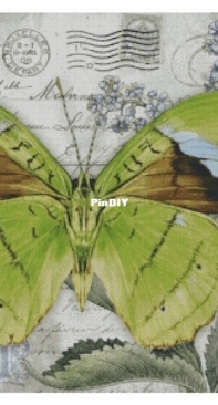 Chimera - Butterfly Vintage 1 by Jane Shasky PCS
