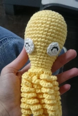 Premature/newborn octopus