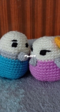 Birds Couple