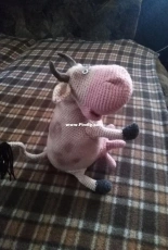cow