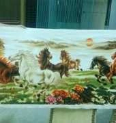 8 horses