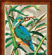 Megat 291 - Kingfisher
