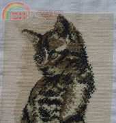 Kitty
