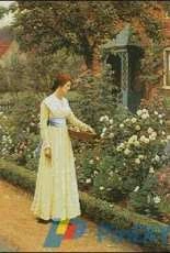 Artecy Cross Stitch - Summer Roses