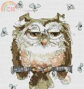 Anchor JR04 - Miserable old twit-twoo