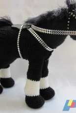 horse Herculean