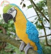 CAROcreated - Carola Herbst - Blue and yellow Macaw