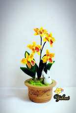 Hawaiian Leopard Orchid