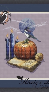 Alveigs Stitch - Magpie Ritual by Ekaterina Ramaykina