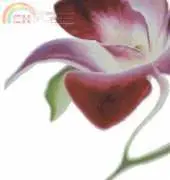 I Love CrossStitch ILCS-APJ-002 Purple Orchid II XSD