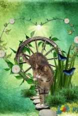 Digital scrapbooking