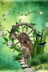 Digital scrapbooking