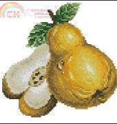 Dome Fruit Pear