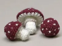 Sons Popkes - Sonja van der Wijk - Toadsies & Toadstool - Free