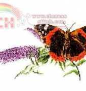 Thea Gouverneur TG436 Atalanta - Vlinders