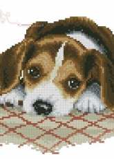 Jacky Lonen - Cute Puppy