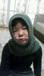 Winter cowl