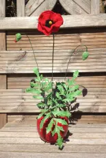 Yvonne Blanker - Poppy - Dutch - Free