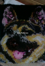 Pillow