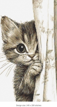 Silvia Romero Vieira - Curtain Cat n.4 - Free