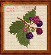 Megat 835 Blackberries