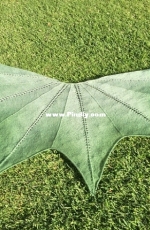 Sicomoro Shawl