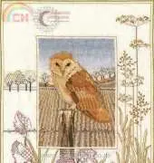 Derwentwater Designs WIL3-A Barn Owl