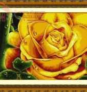 DOME 100803 Yellow Rose
