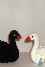 swans