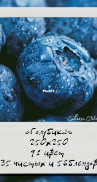 Siberia Stitch - Blueberry