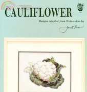 Green Apple 583 - Cauliflower