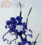 The Silver Lining SL 62 - Modern Classic