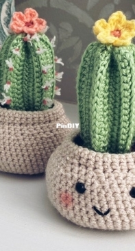 Cloud 9 Knots - Nicole Mansfield - Fence Post Cactus