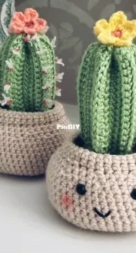 Cloud 9 Knots - Nicole Mansfield - Fence Post Cactus