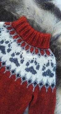 Villmarksgenseren (The Wilderness Sweater) by Linka Neumann