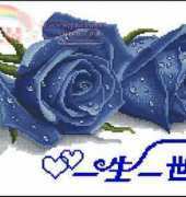 KCO 618127 Blue Roses wedding sampler