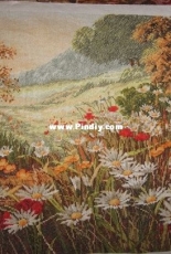 An old dream has come true - a camomile field